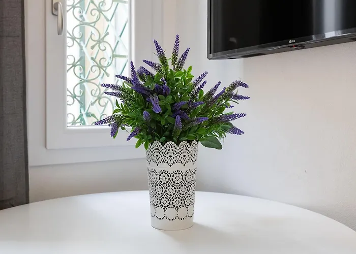 Apartman Domus Gabriella - Forum *